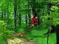 Mountain Bike kucheza online