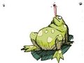 Princess Frog kucheza online