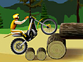 Stunt Dirt Bike kucheza online