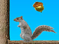 Acorn Toss kucheza online