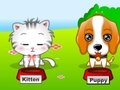 Pet kucheza online