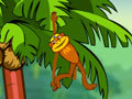 Spider Monkey kucheza online