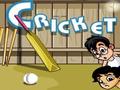 Galli Cricket kucheza online