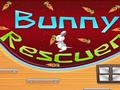 Bunny rescuer kucheza online