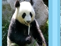 Panda puzzle kucheza online