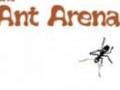 Ants Arena kucheza online