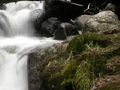 Msitu waterfall kucheza online