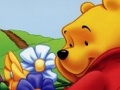 Winnie ya Pooh Hidden Object kucheza online