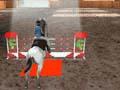 Equestrian 3D kucheza online