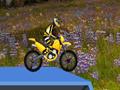 Hillblazer FMX kucheza online